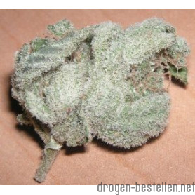 White Widow Weed