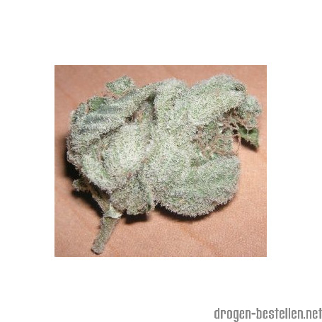 White Widow Weed