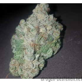 Silver Haze Weed