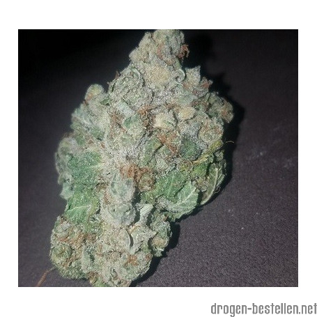 Silver Haze Weed