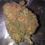 Orange Bud Weed