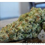 Nothern Lights Weed